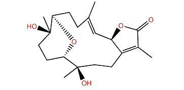 Sarcoehrenbergilid B